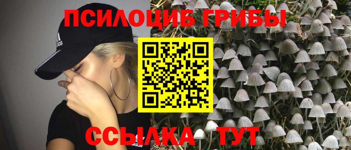 Псилоцибиновые грибы Cubensis  Псилоцибиновые грибы Psilocybe  Бахчисарай  Вход с VPN 