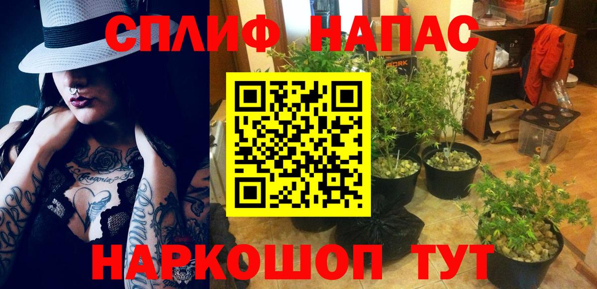 Каннабис индика  Конопля планчик  Конопля LSD WEED  Вход с VPN  Бахчисарай  Бошки марихуана SATIVA & INDICA 